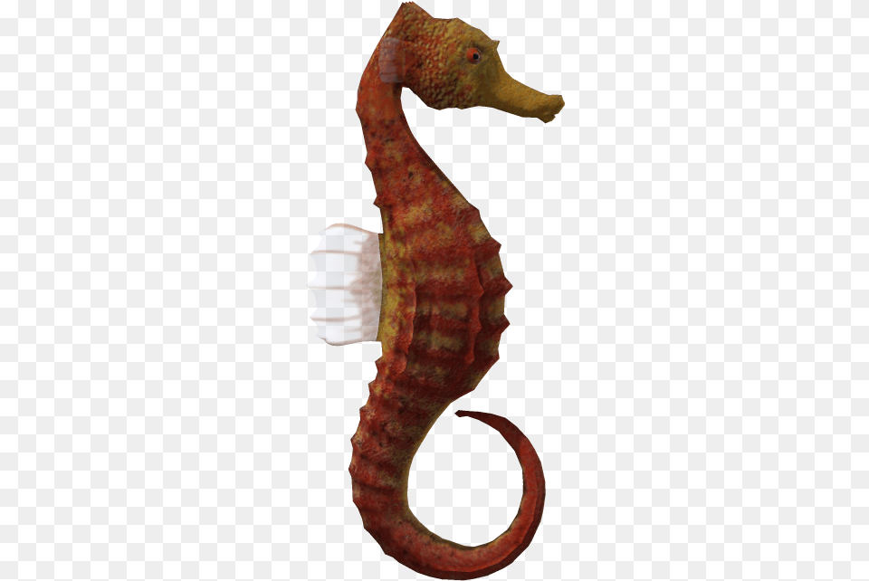 Seahorse Animal 3d Computer Graphics Seahorse With No Background, Sea Life, Mammal Png