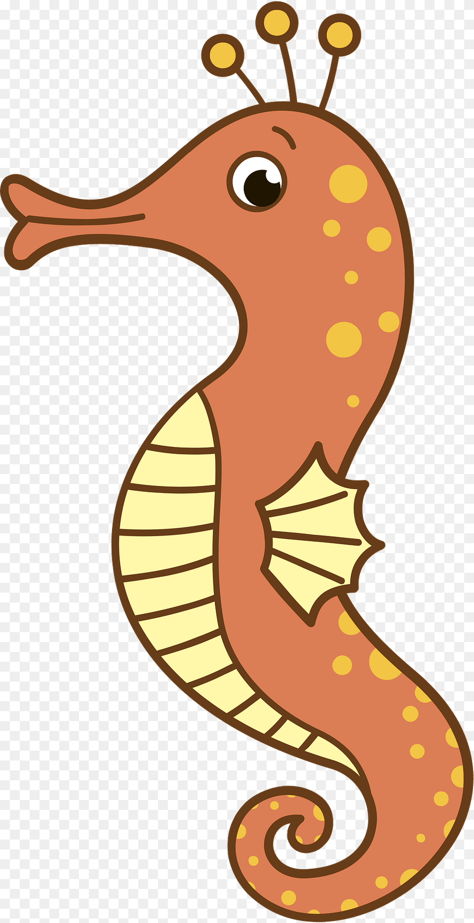 Seahorse Clipart, Animal, Sea Life, Mammal Png Image