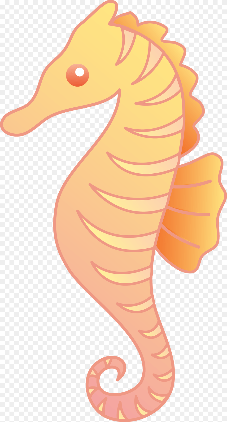 Seahorse Clipart, Animal, Mammal, Sea Life, Baby Free Png