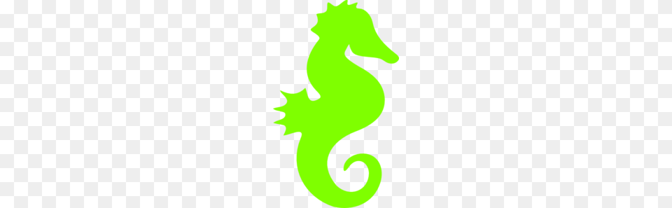 Seahorse Clipart Green, Baby, Person, Animal, Mammal Png