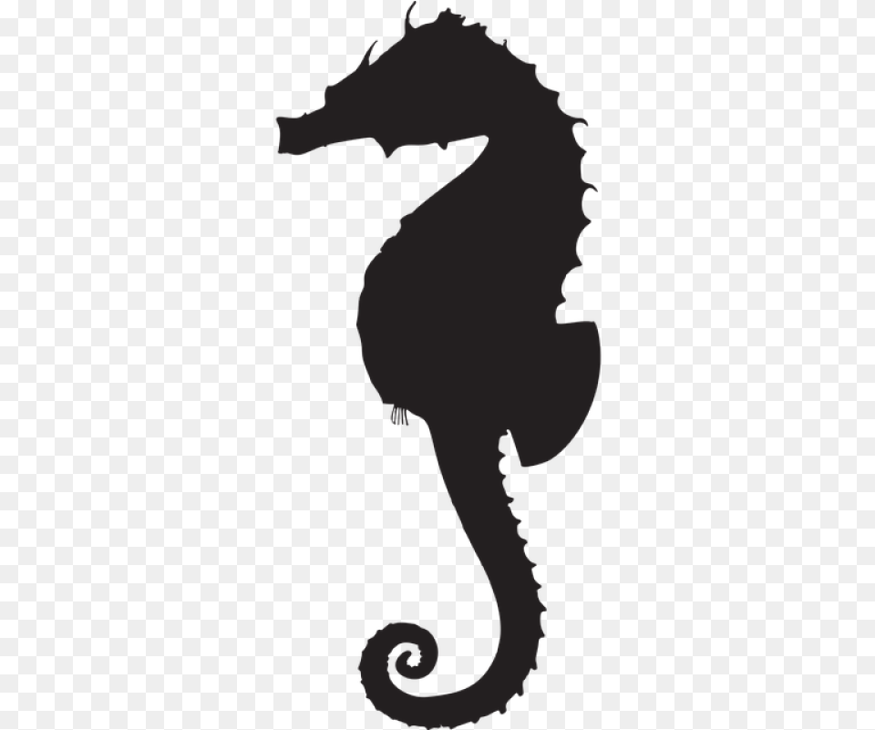 Seahorse Download With Background Silhouette Animal Seahorse, Mammal, Sea Life, Person Png Image