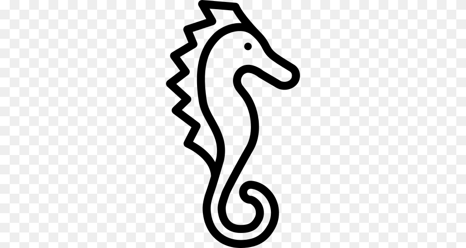 Seahorse Icon, Gray Free Png Download