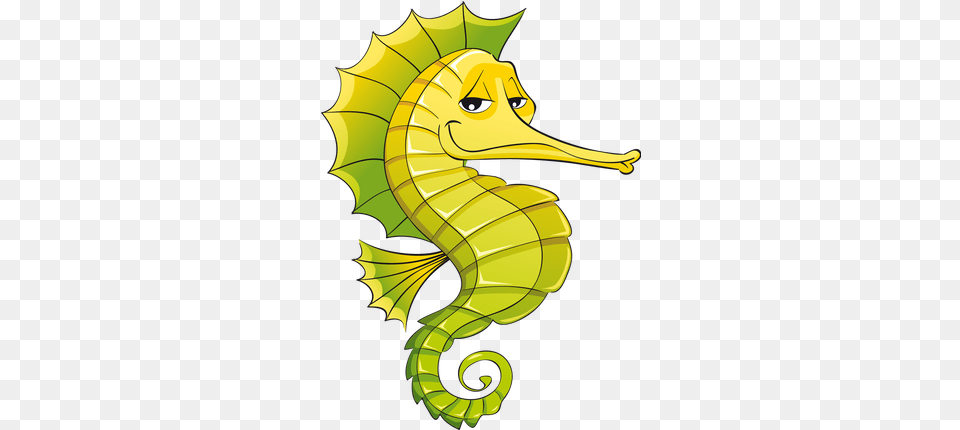 Seahorse Images Hipocampo, Animal, Mammal, Sea Life, Person Free Transparent Png