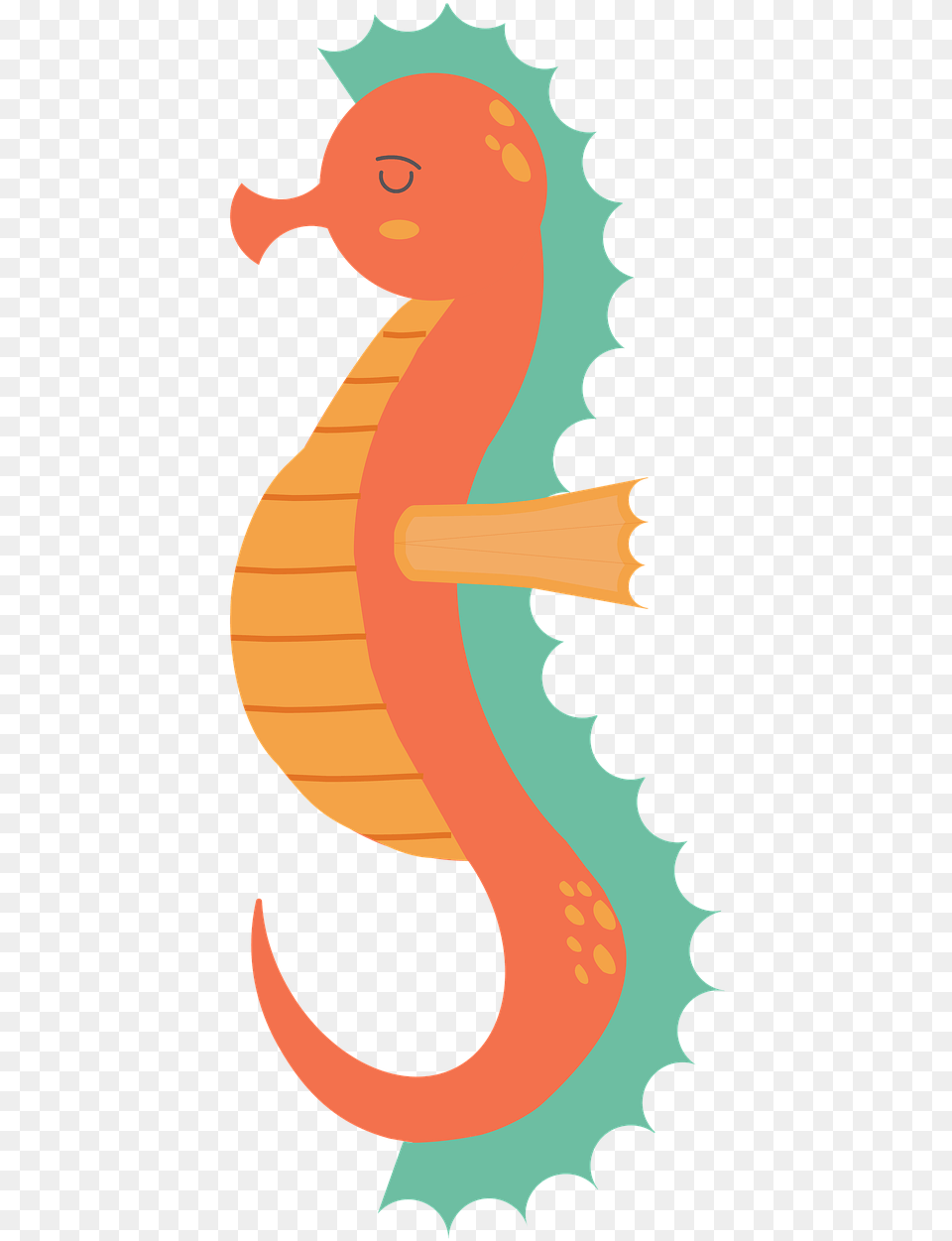 Seahorse Sealife Fish Underwater Reef Tropical Illustration, Baby, Person, Animal, Sea Life Png Image