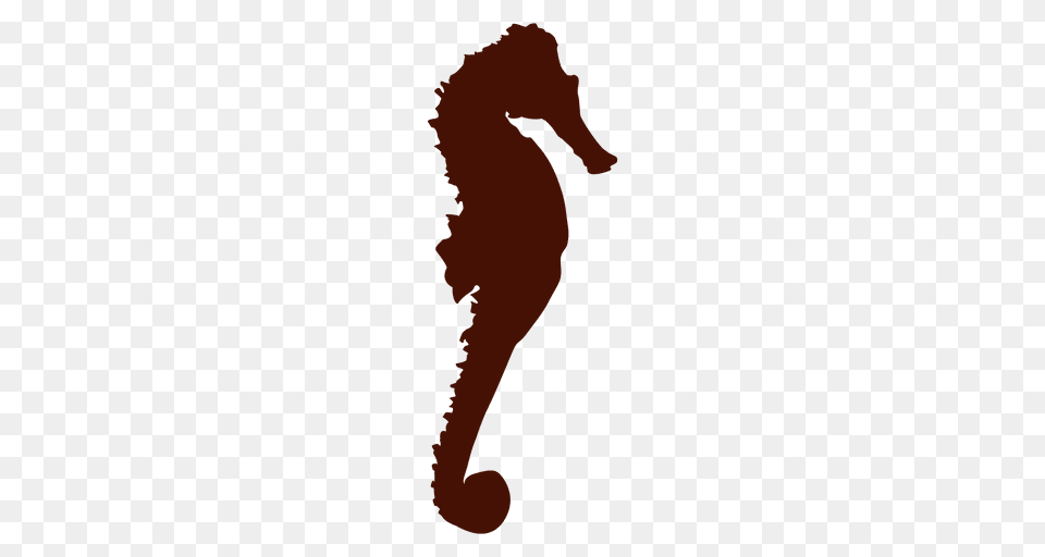 Seahorse Silhouette, Animal, Mammal, Sea Life, Person Png Image