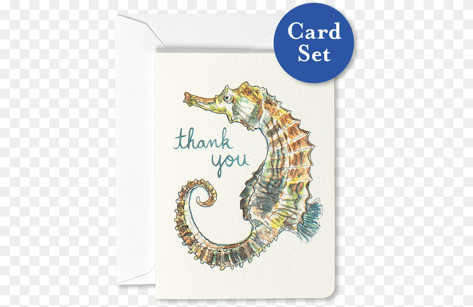 Seahorse Thank You Mini Card Set Of Northern Seahorse, Animal, Sea Life, Mammal Free Png Download