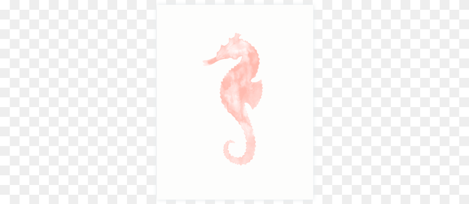 Seahorse Watercolor Print Northern Seahorse, Animal, Sea Life, Mammal, Baby Free Png Download