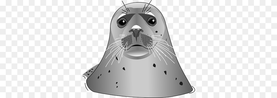 Seal Animal, Mammal, Sea Life, Sea Lion Free Png