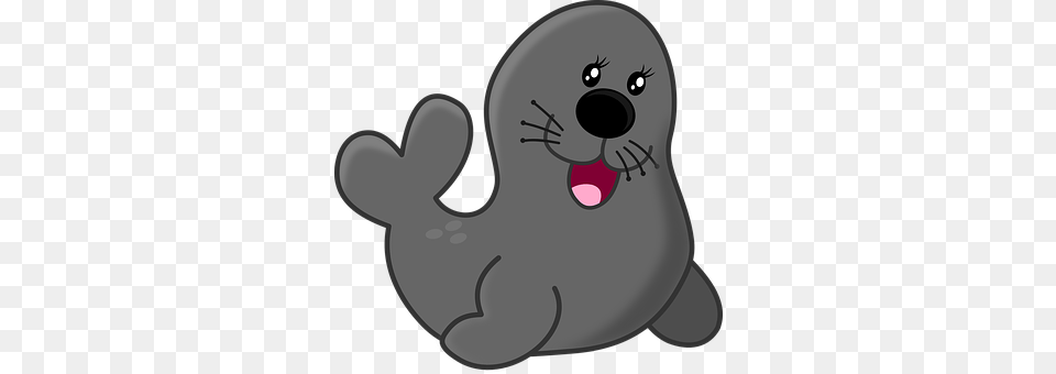 Seal Animal, Mammal Png