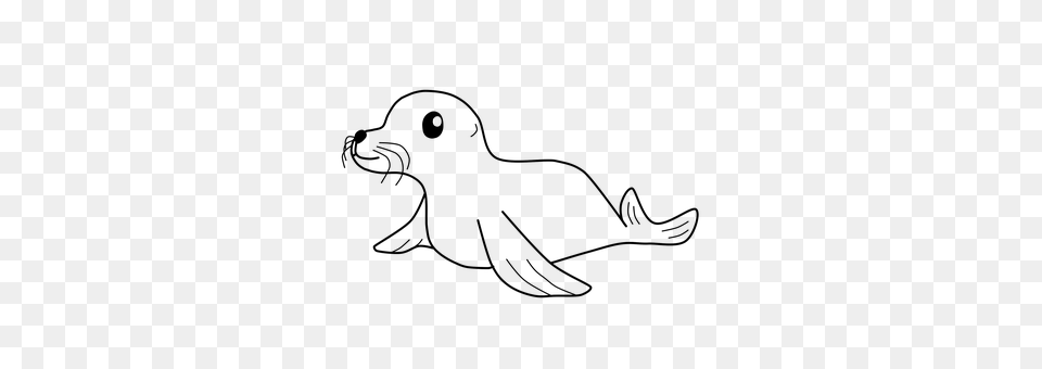 Seal Gray Free Png