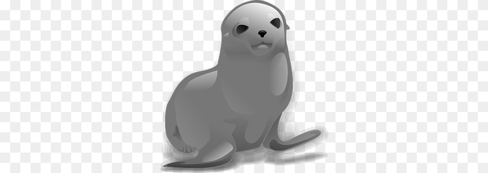 Seal Animal, Mammal, Sea Life, Sea Lion Png Image