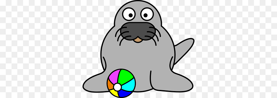 Seal Animal, Mammal, Rat, Rodent Free Png