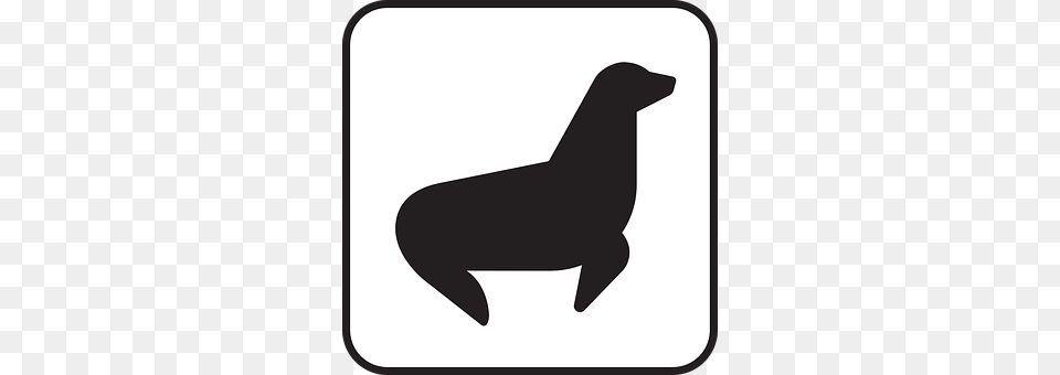 Seal Silhouette, Animal, Mammal, Sea Life Png