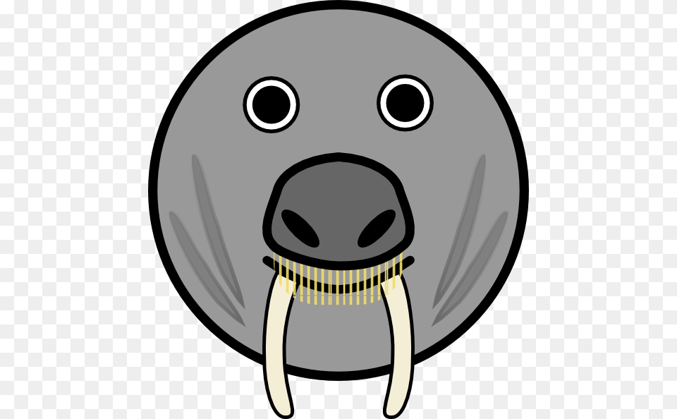 Seal Animal Rounded Face Clip Art, Disk, Bowling, Leisure Activities, Fish Png