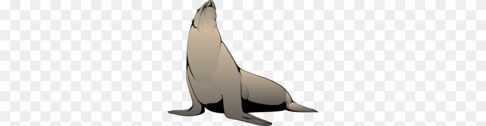 Seal Clip Art, Animal, Mammal, Sea Life, Sea Lion Png