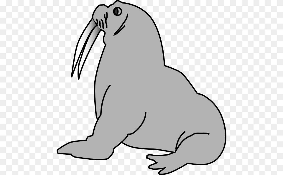 Seal Clip Art Vector, Animal, Sea Life, Mammal, Fish Free Png
