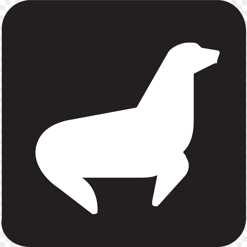 Seal Clipart, Animal, Mammal, Sea Life, Sea Lion Free Transparent Png