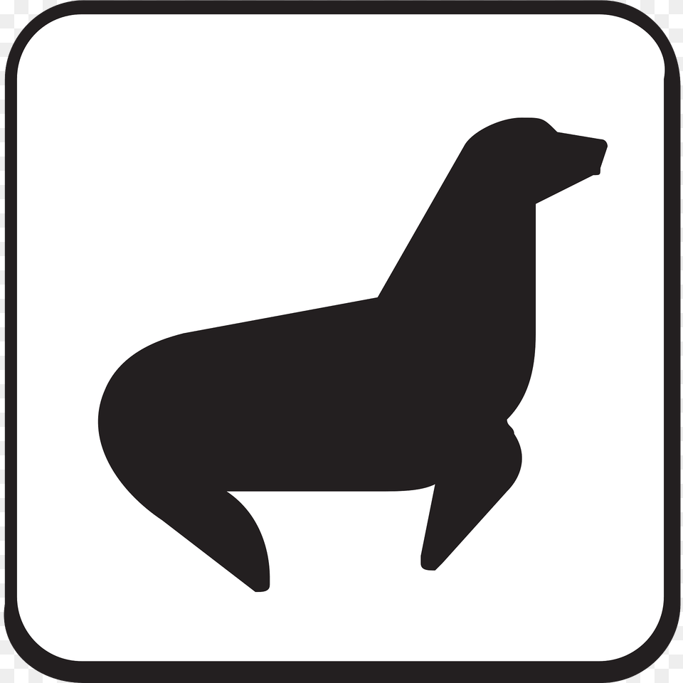 Seal Clipart, Animal, Mammal, Sea Life, Sea Lion Png Image