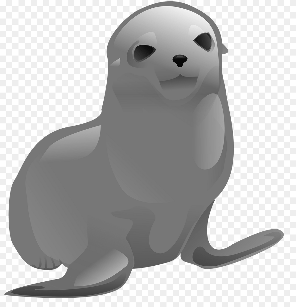 Seal Clipart, Animal, Mammal, Sea Life, Sea Lion Free Png