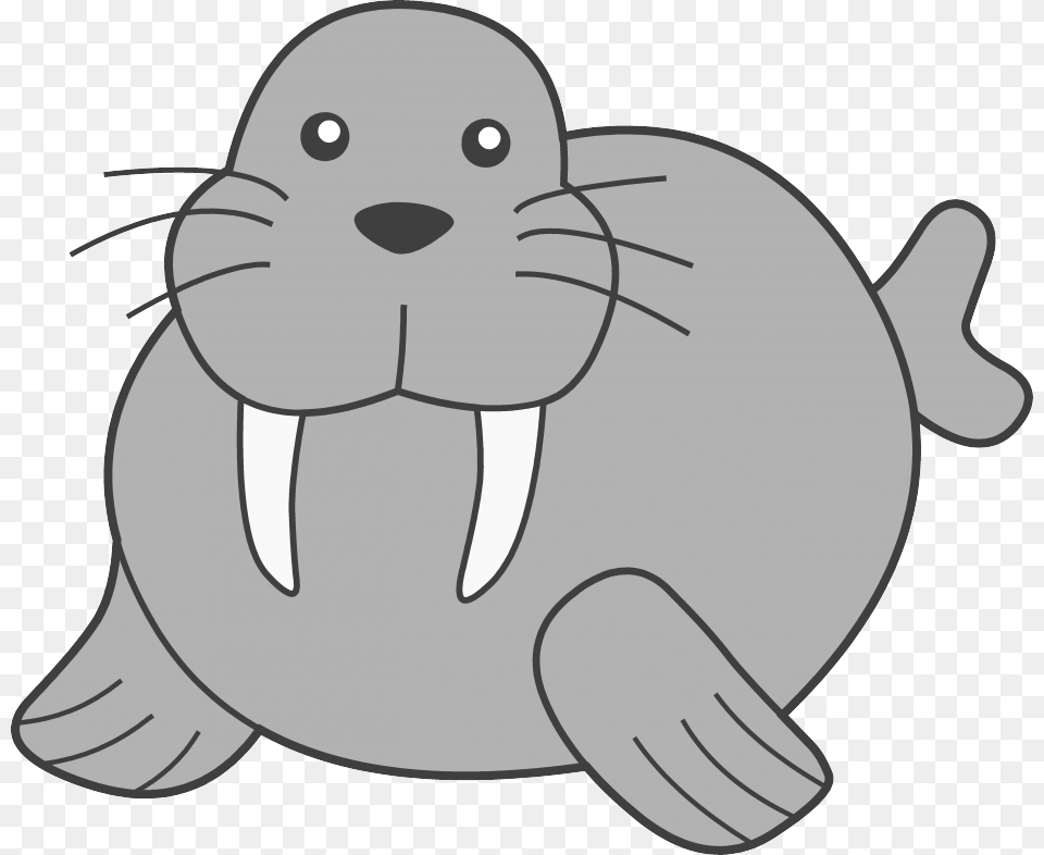 Seal Clipart, Animal, Mammal, Sea Life, Nature Png Image