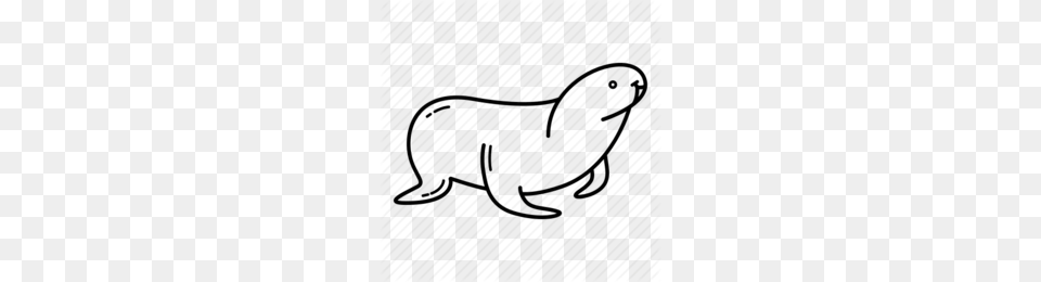 Seal Clipart Clip Art, Animal, Mammal, Wildlife, Invertebrate Png Image