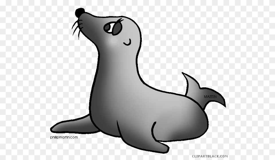 Seal Clipart To Download Seal Clipart, Animal, Mammal, Sea Life, Sea Lion Free Transparent Png