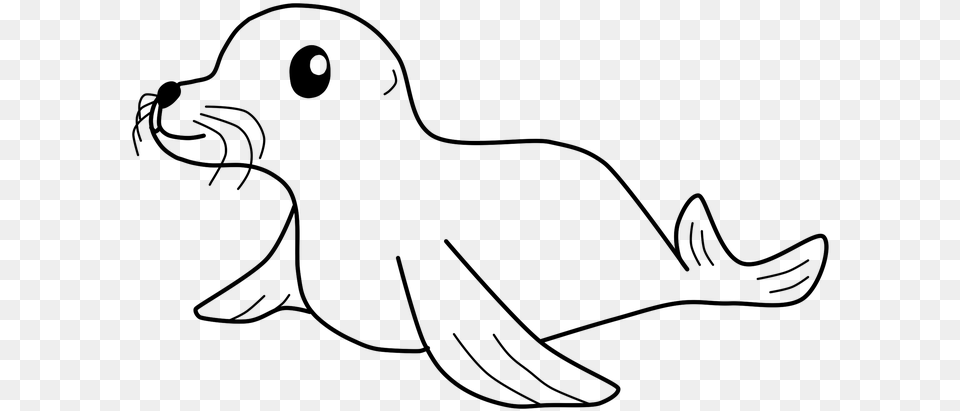 Seal Cute Mammal Wildlife Adorable Marine Aquatic Seal Images Black And White, Gray Png Image