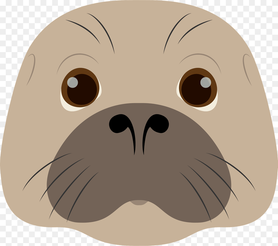 Seal Face Clipart, Animal, Mammal, Fish, Sea Life Png Image