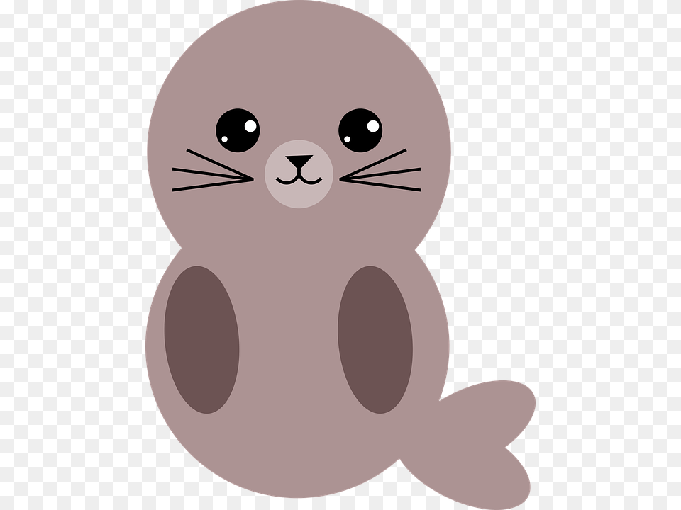 Seal Mammal Animal Nature Wildlife Cute Eyes Cute Seal, Baby, Person Free Png Download
