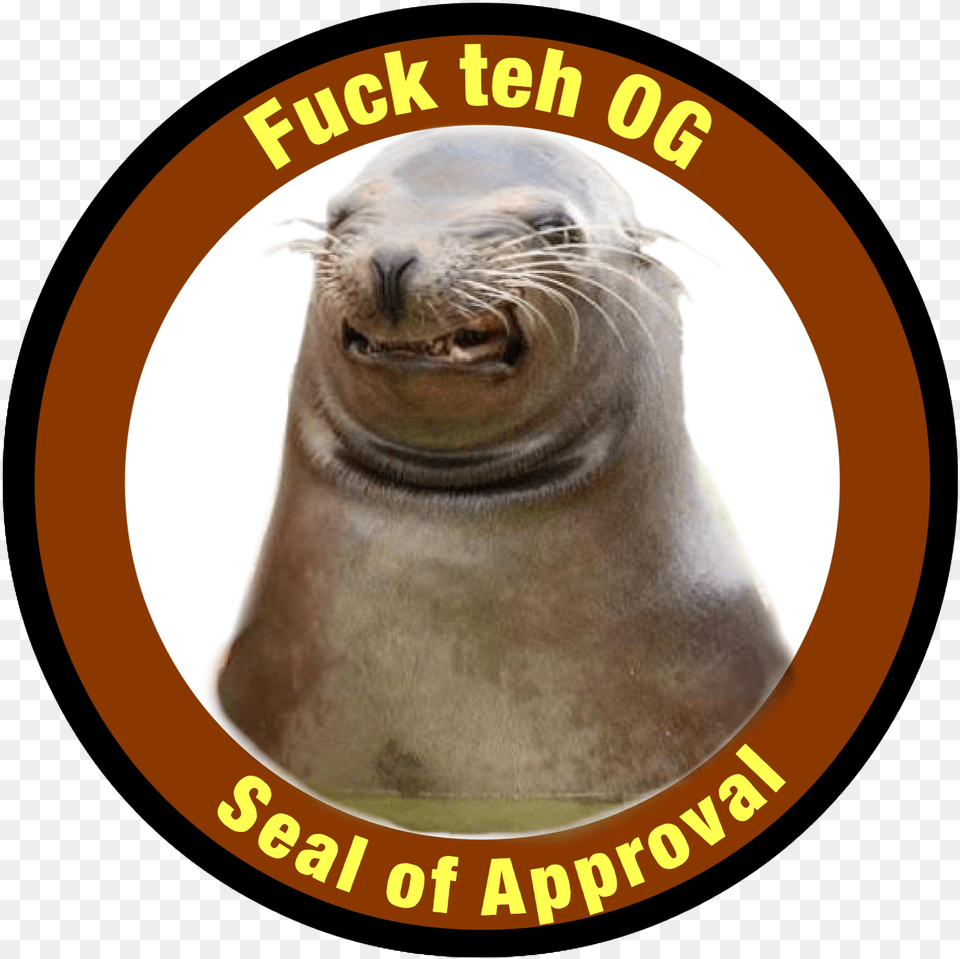 Seal Of Approval Tenkovi, Animal, Mammal, Sea Life, Sea Lion Png