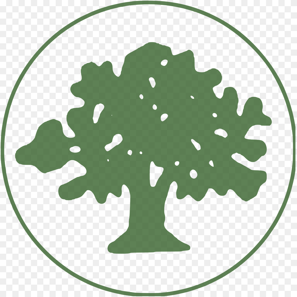 Seal Of Idhna Clipart, Oak, Plant, Sycamore, Tree Free Png