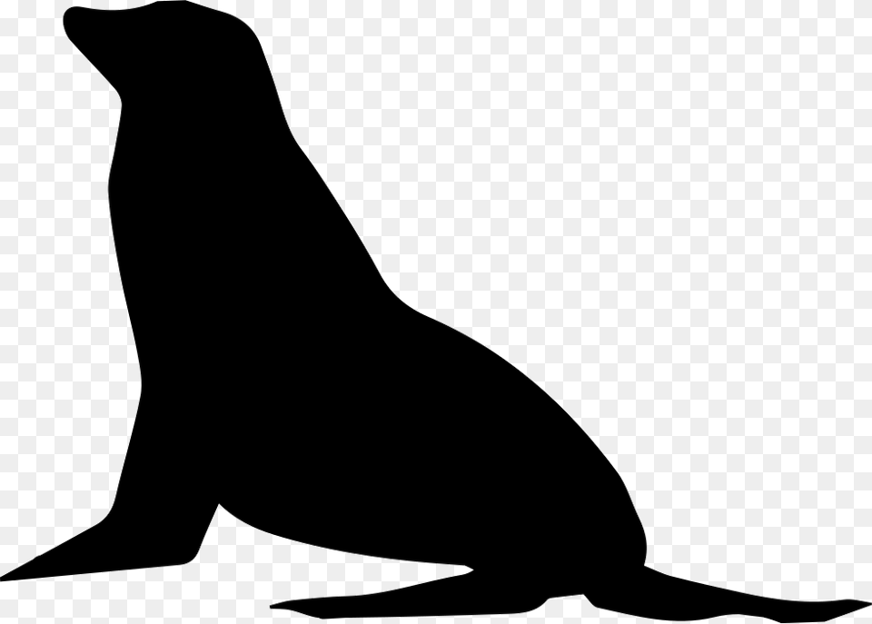 Seal Outline Seal Lion Svg File, Silhouette, Animal, Mammal, Sea Life Free Png Download