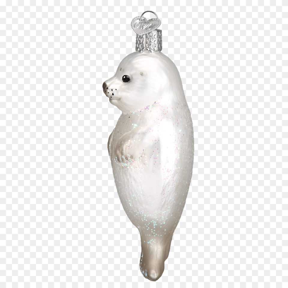 Seal Pup Papilio Mt Dora, Accessories, Animal, Mammal, Cat Png