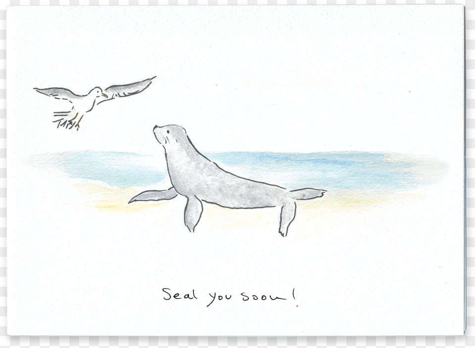 Seal You Soon Sketch, Animal, Bird, Bear, Mammal Png Image
