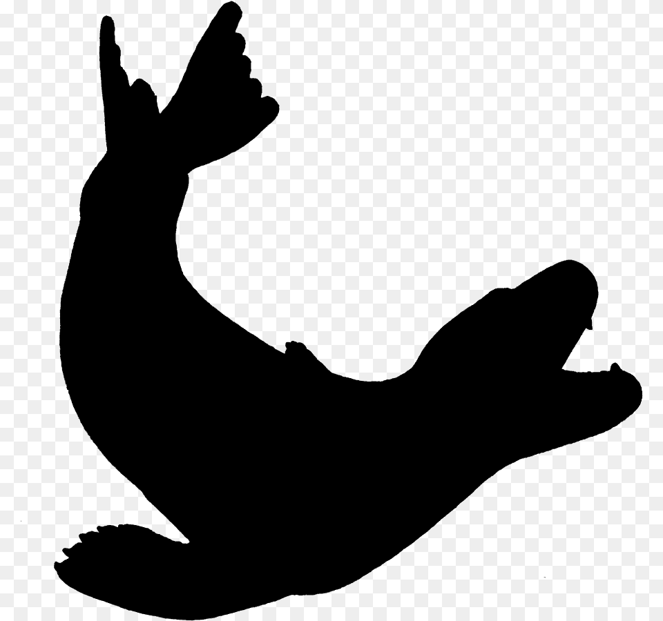 Seals Amp Sea Lions Leopard Earless Seal Sea Lion Silhouette, Gray Png
