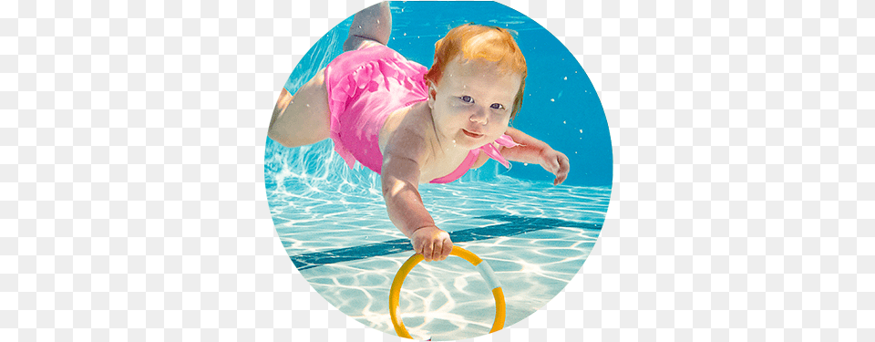 Sealswim Billboard Seal Swim School, Water Sports, Water, Swimming, Leisure Activities Free Png Download