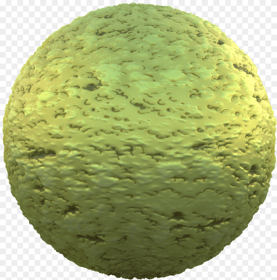 Seamless Abstract Texture Alien Skin Texture Fruit, Sphere, Ball, Moss, Plant Free Png Download