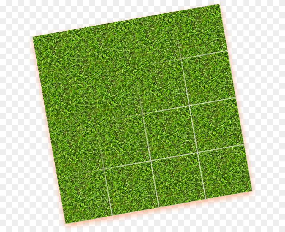 Seamless Grass Texture, Plant, Lawn, Moss, Vegetation Free Png