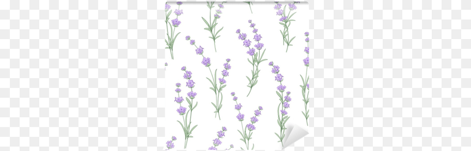 Seamless Pattern Of Lavender Flowers On A White Background Lavendel Bloemen Stof, Flower, Plant, Herbal, Herbs Png Image