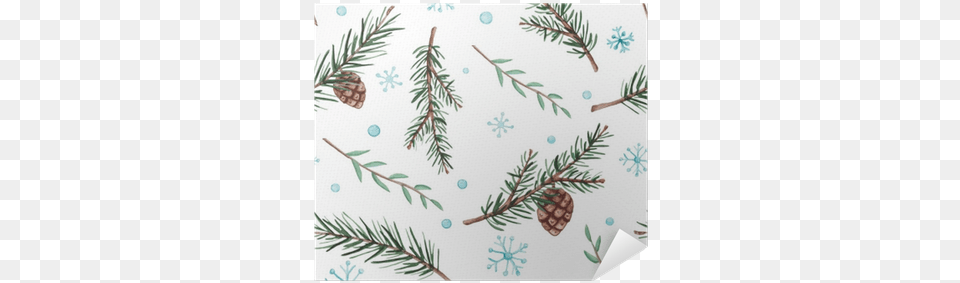 Seamless Pattern Of Watercolor Fir Branches And Snow Watercolor Painting, Conifer, Plant, Tree, Pine Png Image