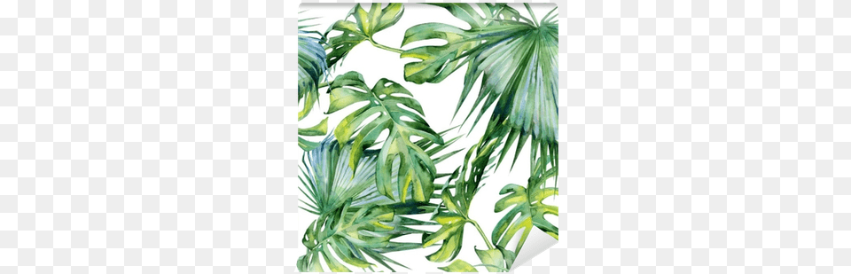 Seamless Watercolor Illustration Of Tropical Leaves Upstreet Graphite Pickleball Paddle Set Of, Vegetation, Tree, Plant, Palm Tree Free Transparent Png
