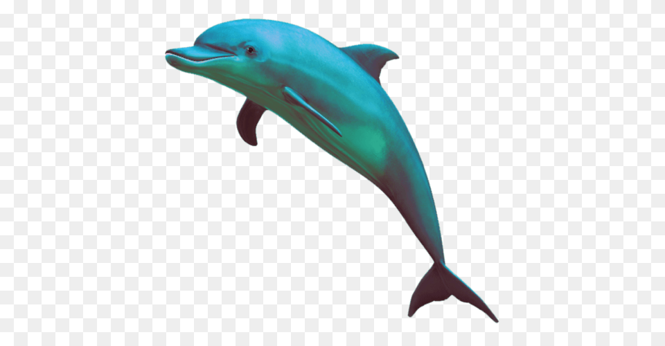 Seapunk Dolphin, Animal, Mammal, Sea Life, Fish Png Image