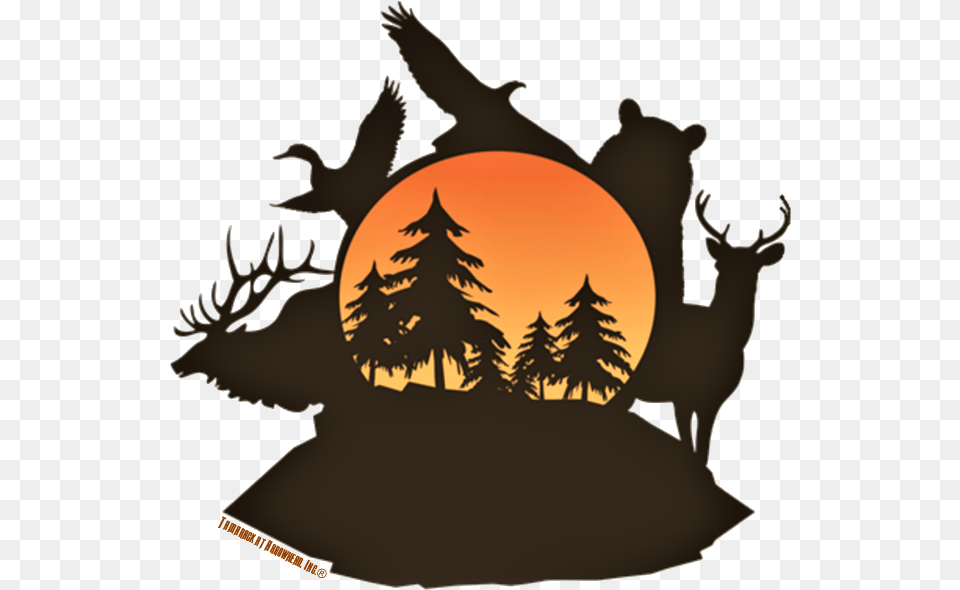 Search By Area Tamarack Silhouette, Plant, Tree, Sky, Outdoors Free Png