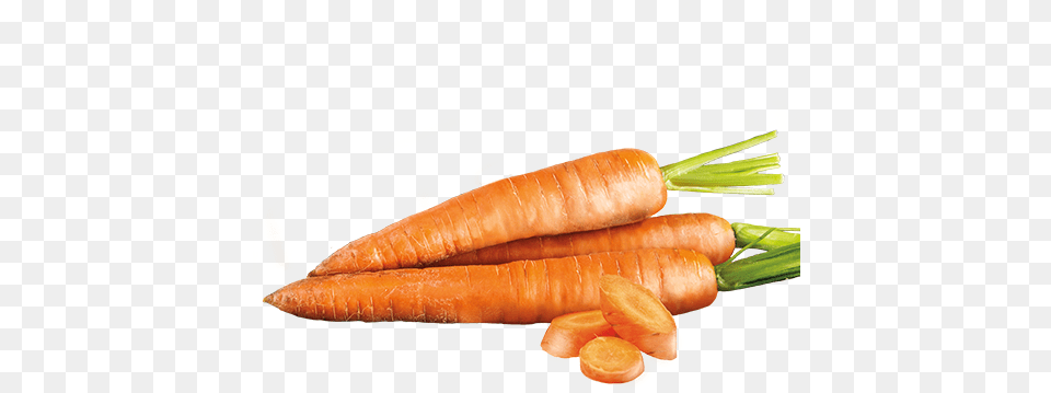 Search For Carrot, Food, Plant, Produce, Vegetable Free Transparent Png
