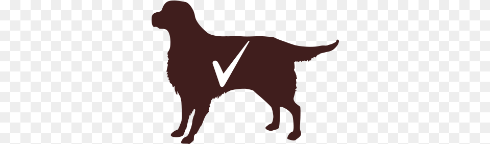 Search For Dog, Person, Animal, Pet, Canine Free Transparent Png