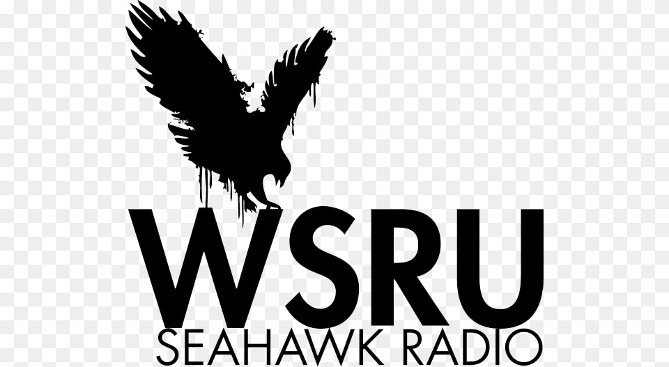 Search For Seahawk Radio Eagle, Animal, Bird, Blackbird, Flying Free Transparent Png