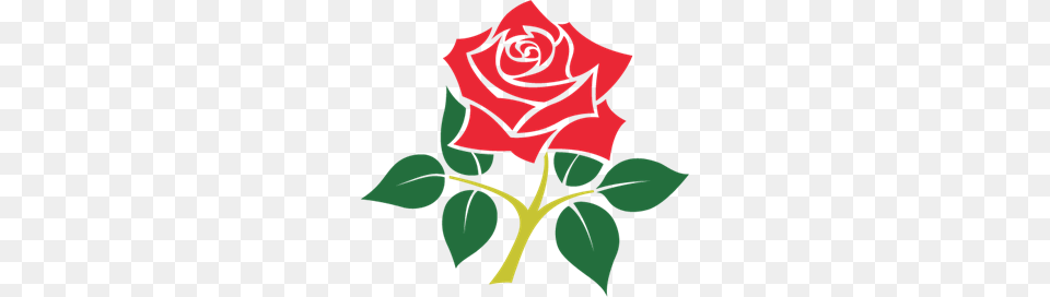 Search Lancashire Rose Crest Logo Vectors Download, Flower, Plant, Leaf, Person Free Transparent Png