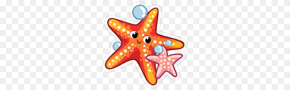 Search Results, Animal, Sea Life, Invertebrate, Starfish Free Transparent Png
