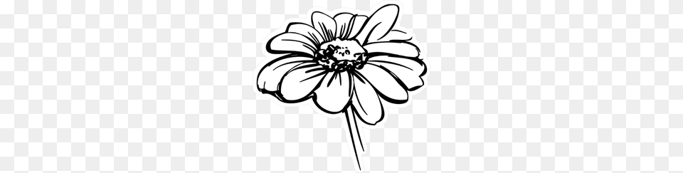 Search Results, Dahlia, Daisy, Flower, Plant Png Image