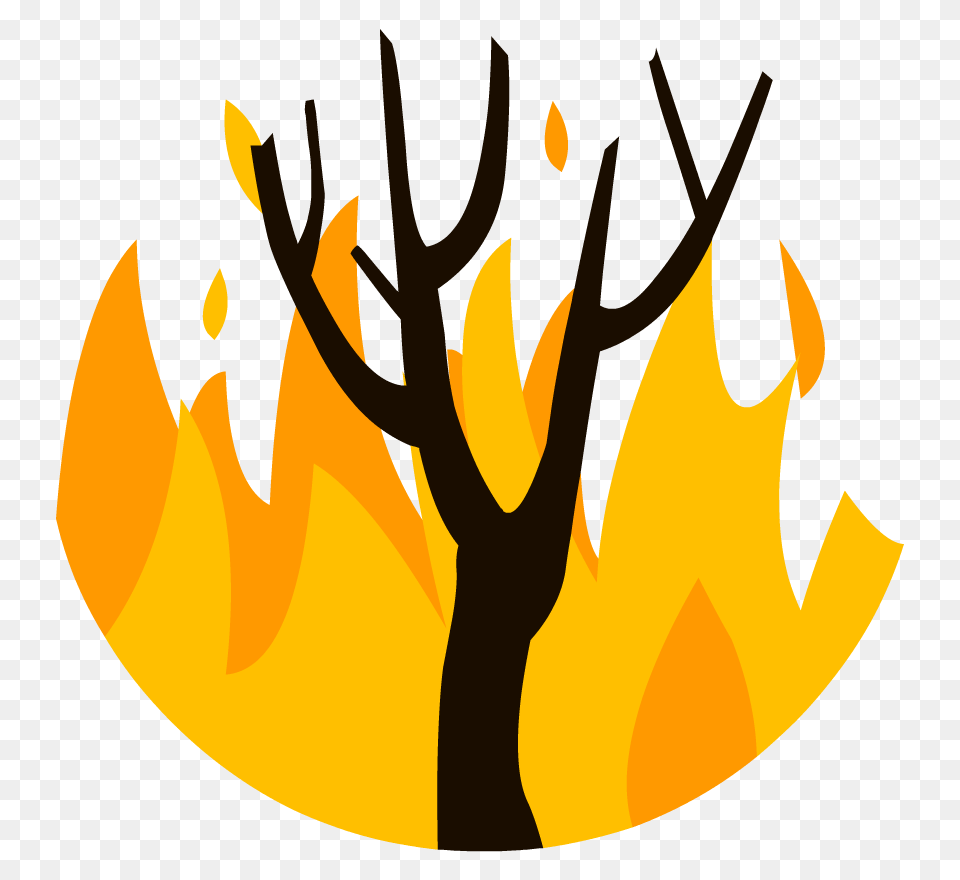 Search Results, Fire, Flame, Person Free Transparent Png